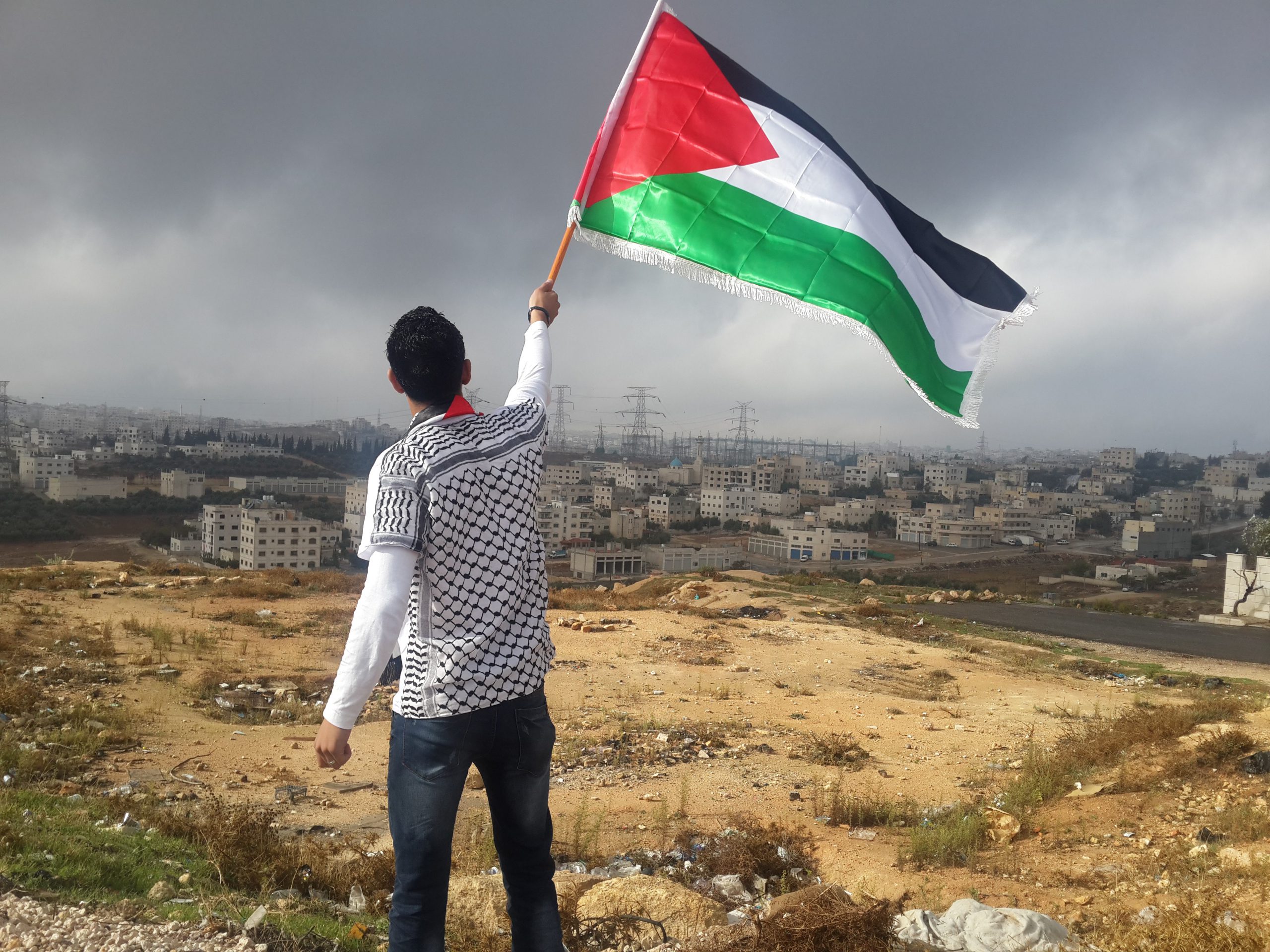 Young Palestinian Waving the flag - Article Image