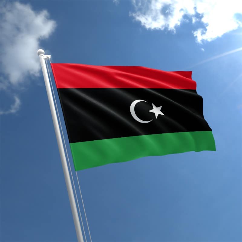 The Libya crisis